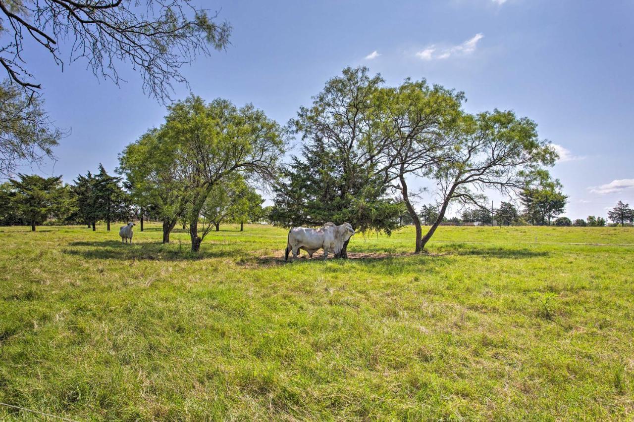 Texas Cabin On 130 Acres Walk To Lake Ray Roberts Collinsville Zewnętrze zdjęcie